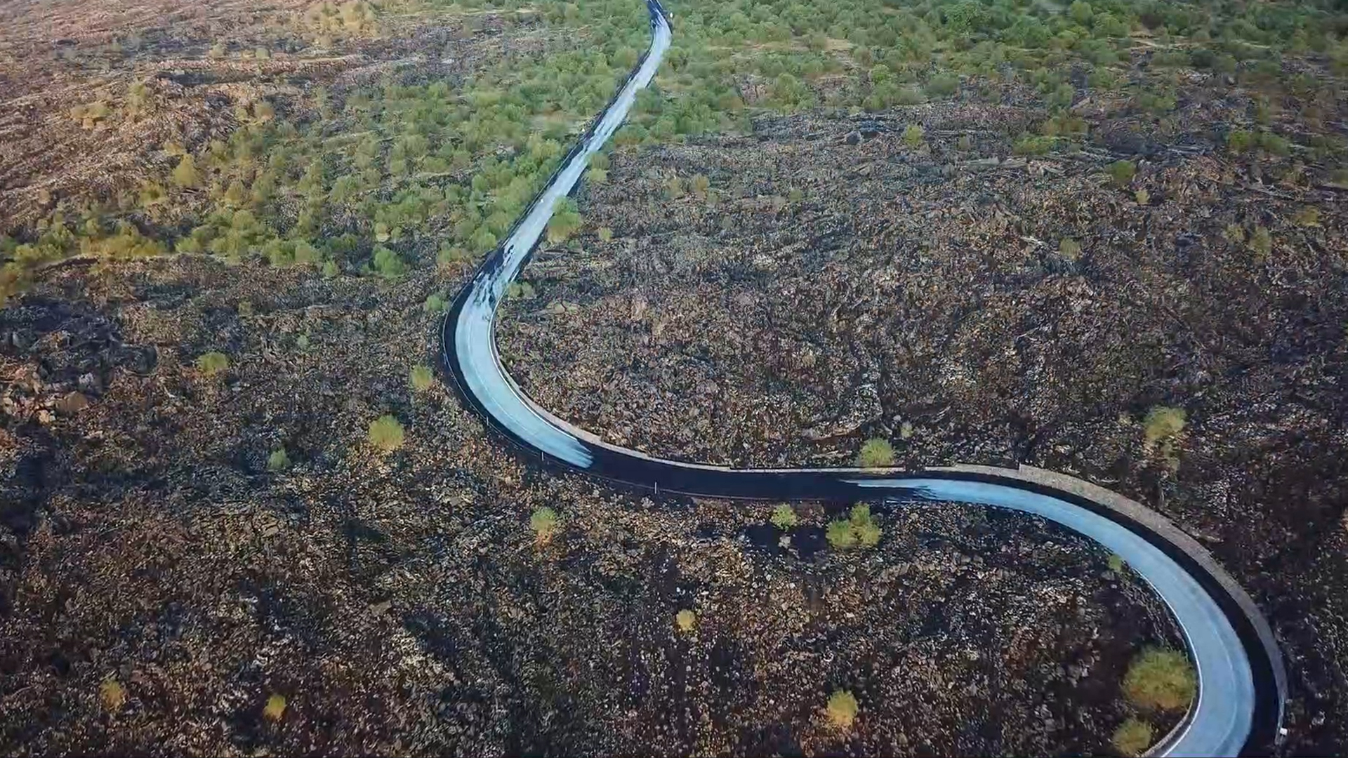 Screenshot 2022-02-27 16.30