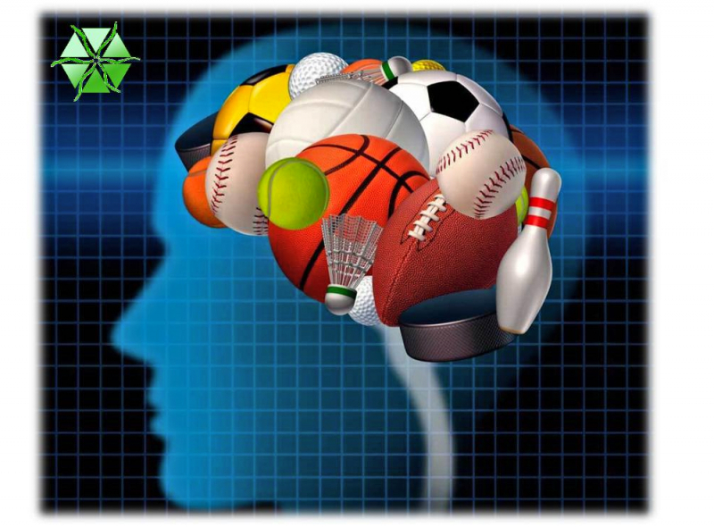 ACTIVIDADES DEPORTIVAS MUNICIPALES VILLAMAYOR DE GÁLLEGO  2021/22 - Inscríbete