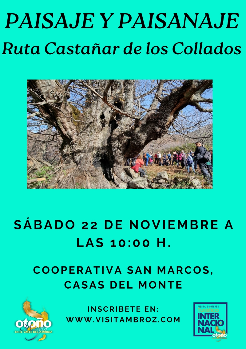 PAISAJE Y PAISANAJE. RUTA CASTAÑAR DE LOS COLLADOS EN CASAS DEL MONTE - Register