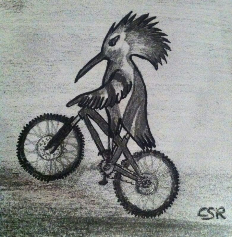 IV TRANSVELILLENSE - Inscríbete