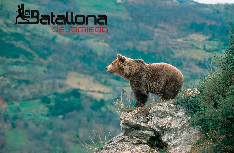LA BATALLONA DE SOMIEDO - Inscríbete