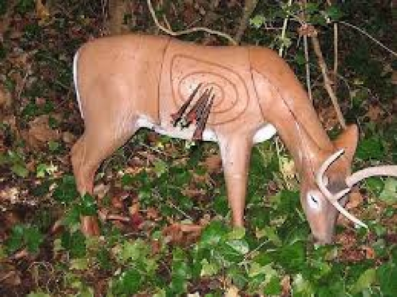 IV TIRADA LIGA VALENCIANA DE RECORRIDO DE BOSQUE 3D  - Inscríbete