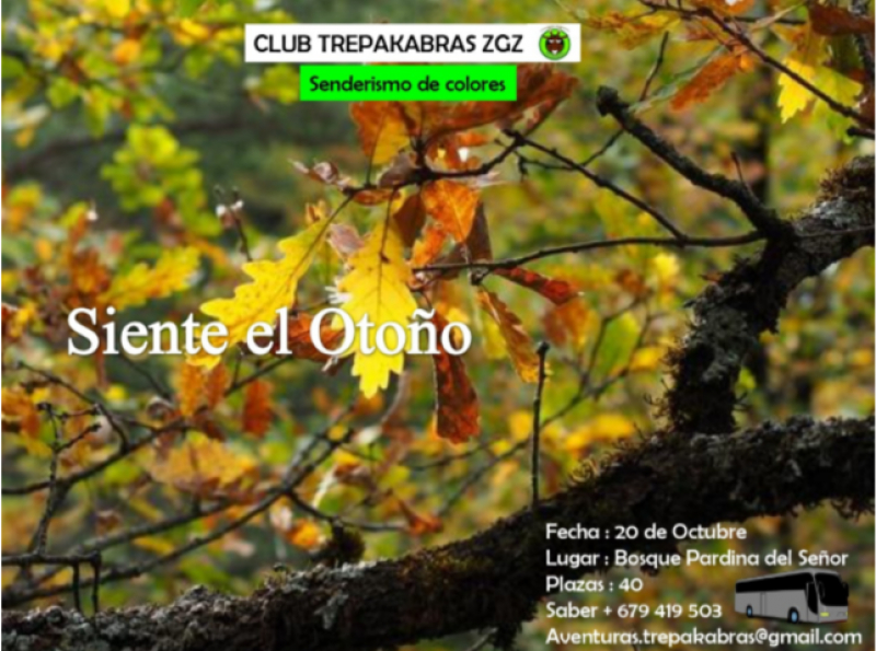 SIENTE EL OTOÑO - Iscriviti