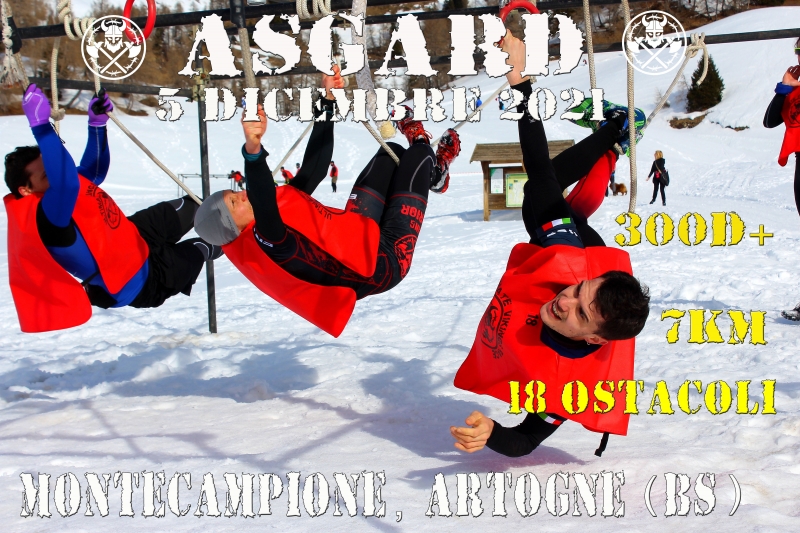 ASGARD - VIKING SERIES - Inscris-toi