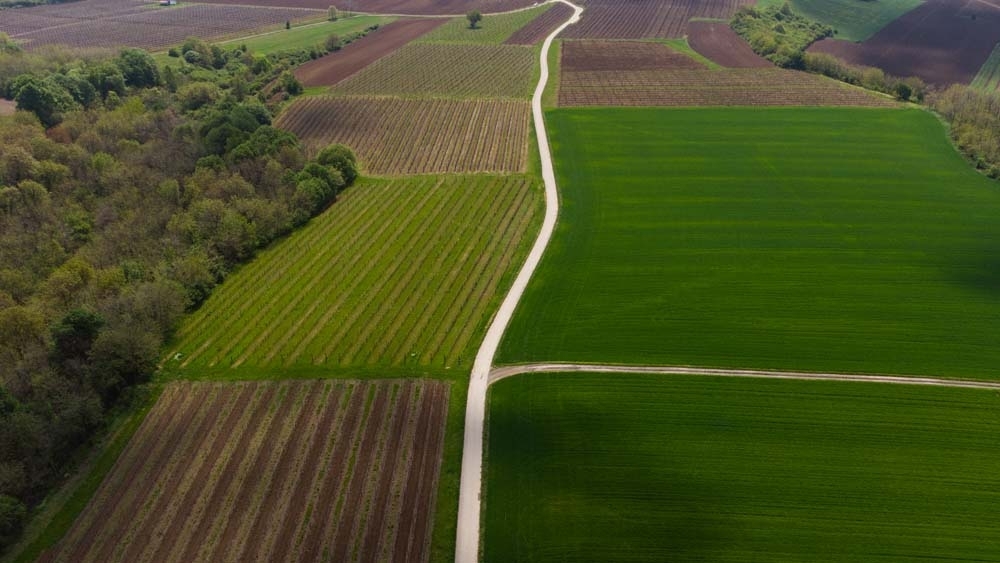 EPIC RIDES 2024: ILOK - Inscriu-te