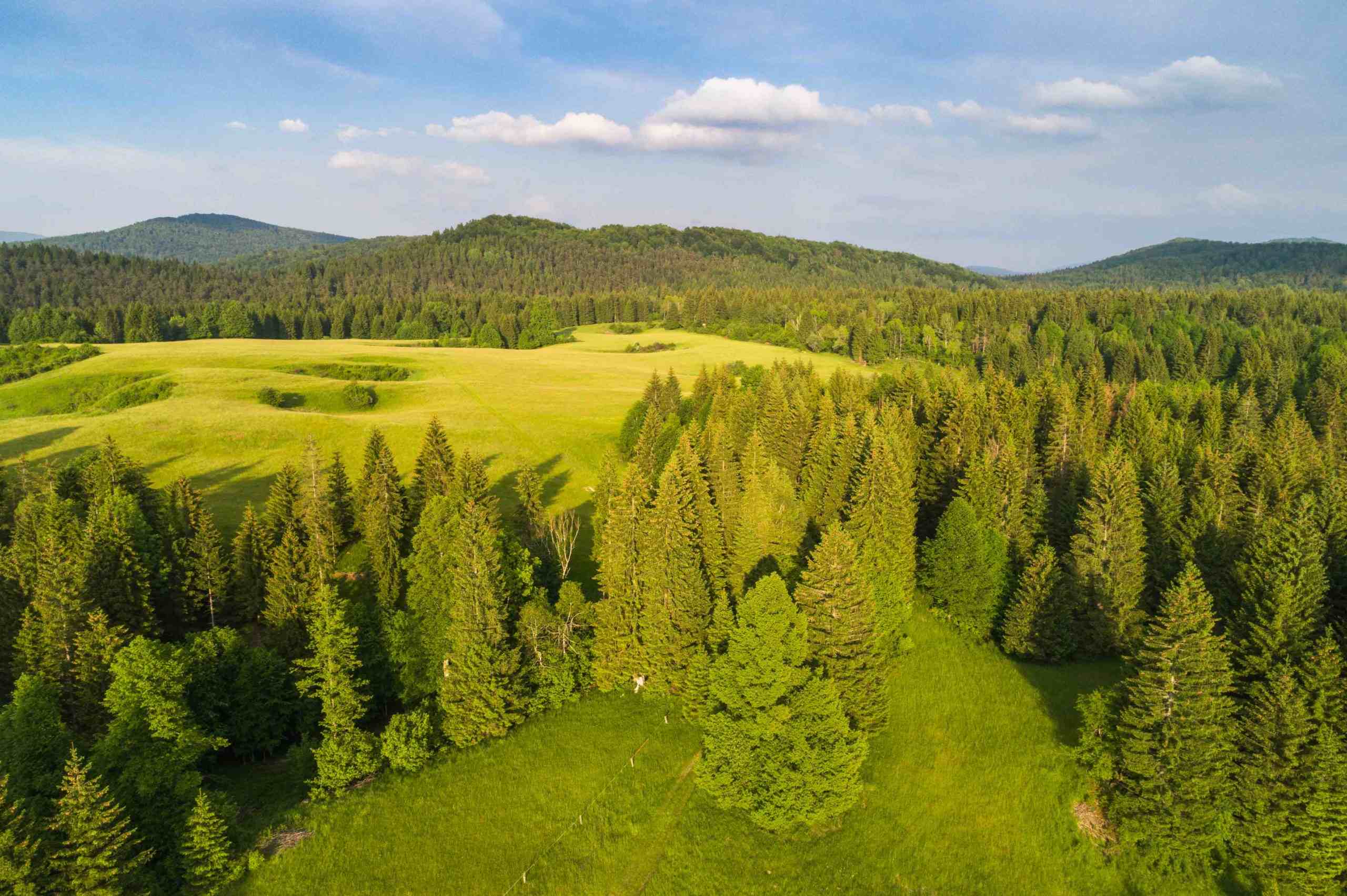 EPIC RIDES 2026: KOCEVJE (SLOVENIJA) - Prijavi se