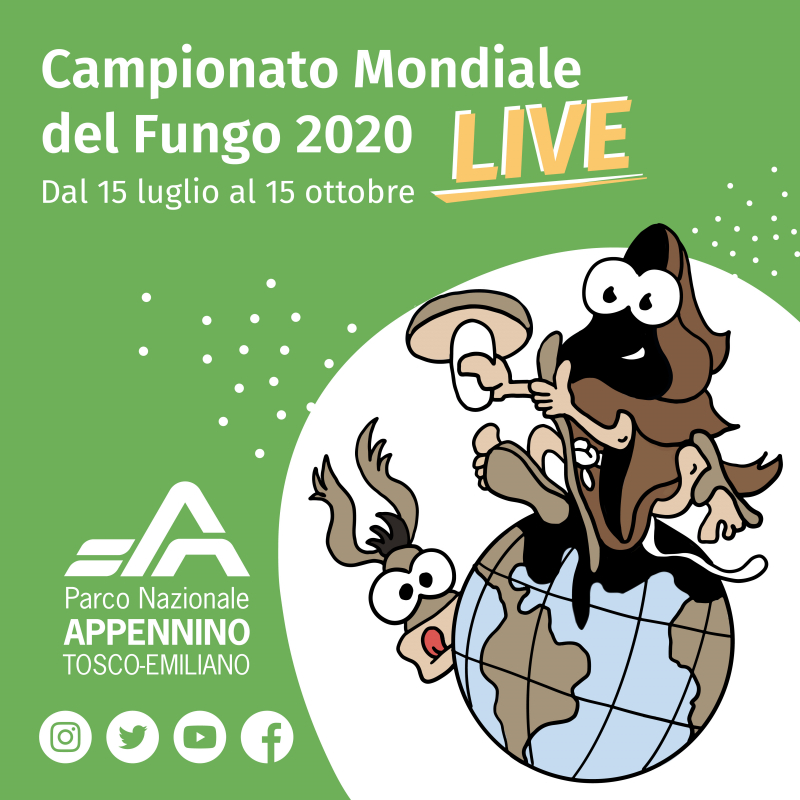 CAMPIONATO MONDIALE DEL FUNGO 2020 - Iscriviti