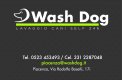 Wash Dog