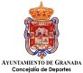 ayuntamiento de granada