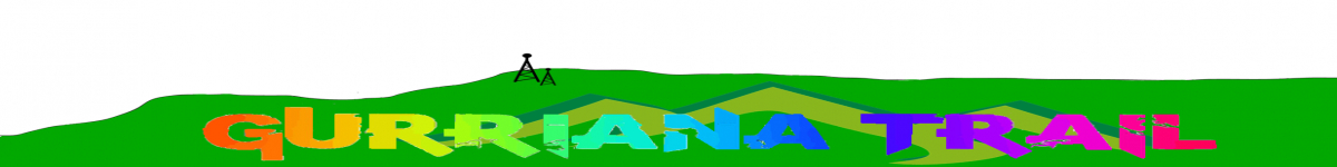 2ª PRUEBA COPA DE ESPAÑA DE CARRERAS EN LÍNEA   LA GURRIANA