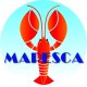 Mapesca Cesenatico