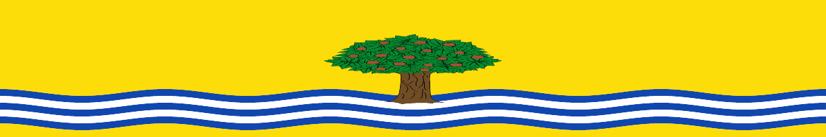 ACTIVIDADES DEPORTIVAS MUNICIPALES NUEZ DE EBRO  2020/21 