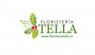 FLORISTERIA TELLA