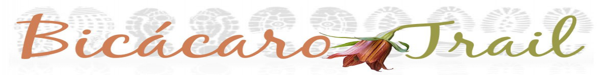 BICÁCARO TRAIL 2017 