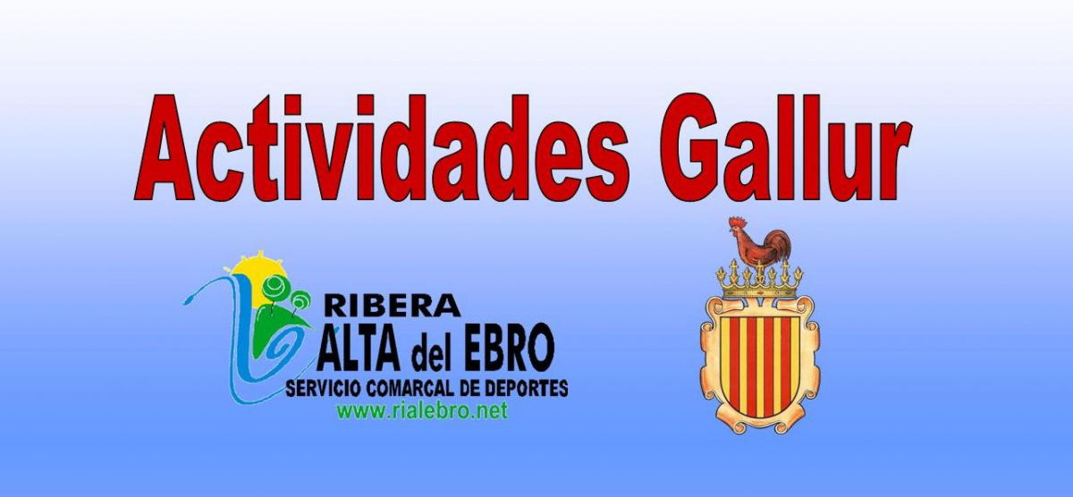 INFORMACIÓN  -  ACTIVIDADES GALLUR