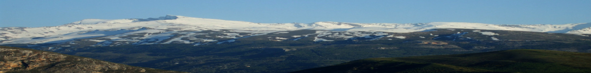 CAMPEONATO DE ESPAÑA INDIVIDUAL Y POR SELECCIONES AUTONÓMICAS Y 2ª PRUEBA COPA ESPAÑA KILÓMETRO VERTICAL   KV SIERRA NEVADA