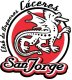 Arqueros San Jorge