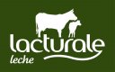 Lacturale