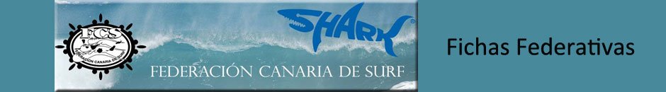 FICHAS FEDERATIVAS 2013
