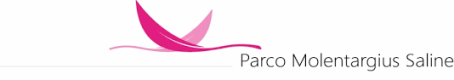 PARCO MOLENTARGIUS SALINE