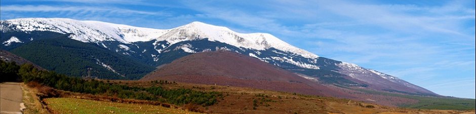 Últimas Noticias  - I TOUR NORDIC WALKING 