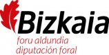 DIPUTACIÓN FORAL DE BIZKAIA