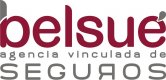 Belsué Seguros
