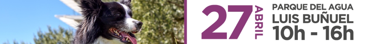 III ANDADA CANINA Y FAMILIAR