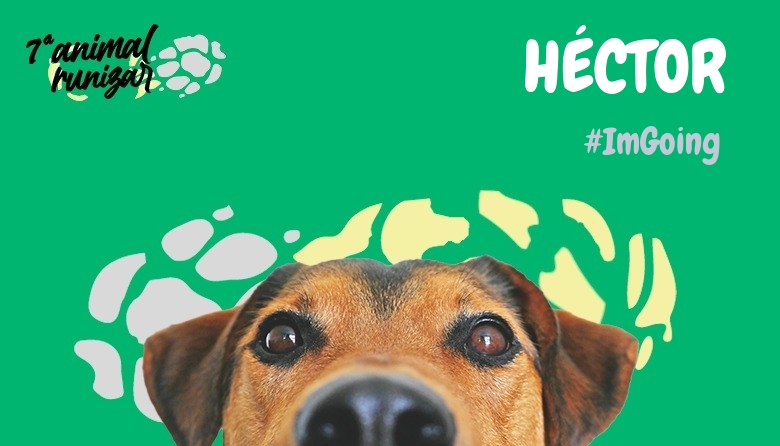 #JazGrem - HÉCTOR (ANIMALRUNIZAR 2024)