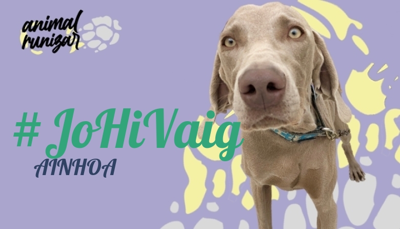 #JoHiVaig - AINHOA  (ANIMALRUNIZAR 2023)