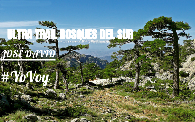 #YoVoy - JOSÉ DAVID (ULTRA TRAIL BOSQUES DEL SUR)