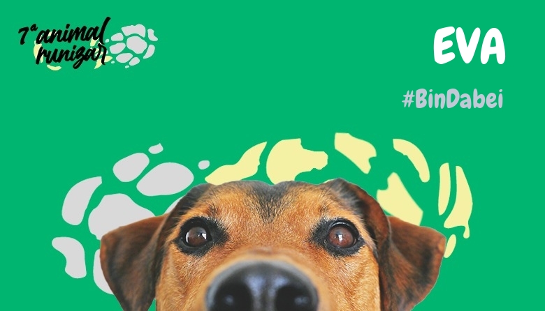 #ImGoing - EVA (ANIMALRUNIZAR 2024)