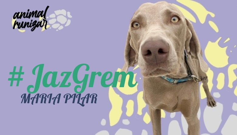 #ImGoing - MARIA PILAR (ANIMALRUNIZAR 2023)