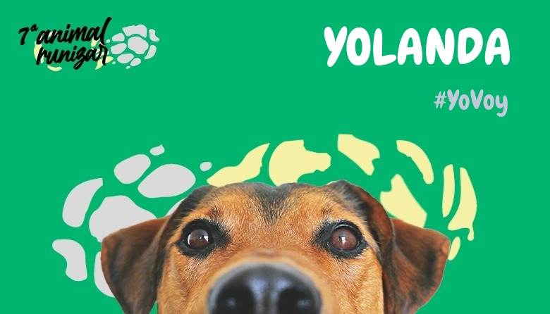 #ImGoing - YOLANDA (ANIMALRUNIZAR 2024)