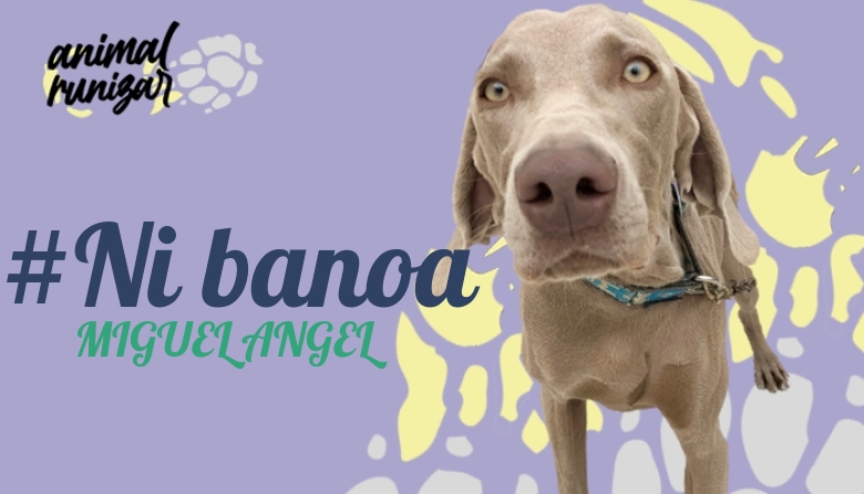 #ImGoing - MIGUEL ANGEL (ANIMALRUNIZAR 2022)