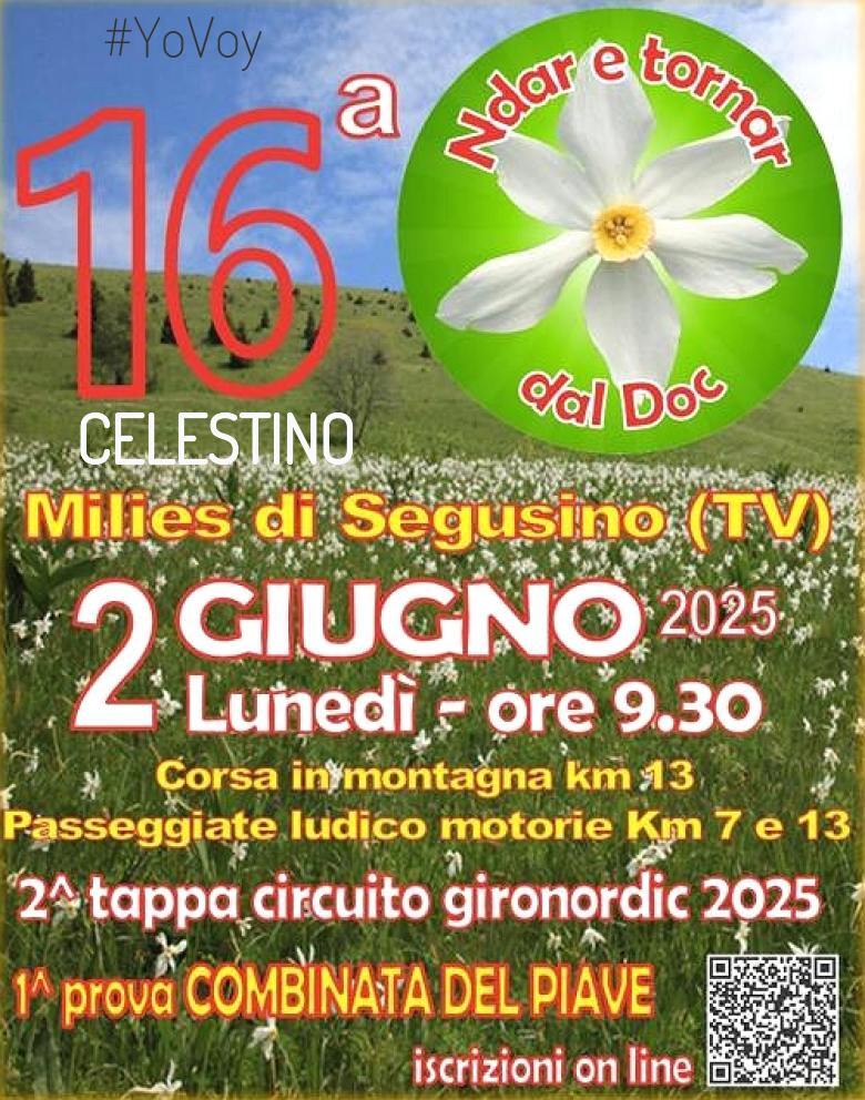 #YoVoy - CELESTINO (NDAR E TORNAR DAL DOC)