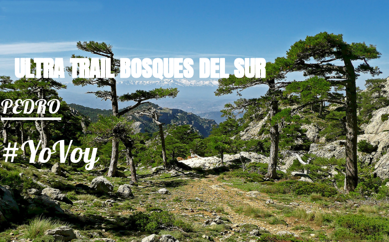 #EuVou - PEDRO (ULTRA TRAIL BOSQUES DEL SUR)