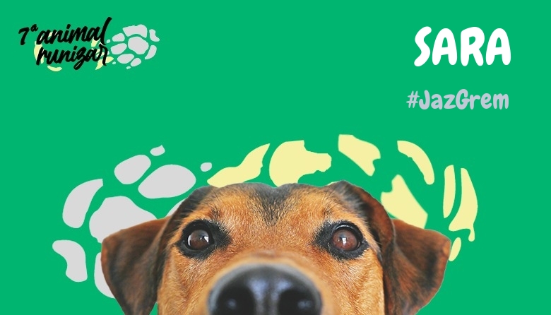 #EuVou - SARA (ANIMALRUNIZAR 2024)