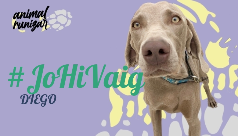 #YoVoy - DIEGO (ANIMALRUNIZAR 2023)