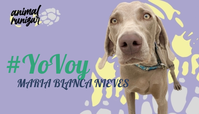 #YoVoy - MARIA BLANCA NIEVES (ANIMALRUNIZAR 2023)