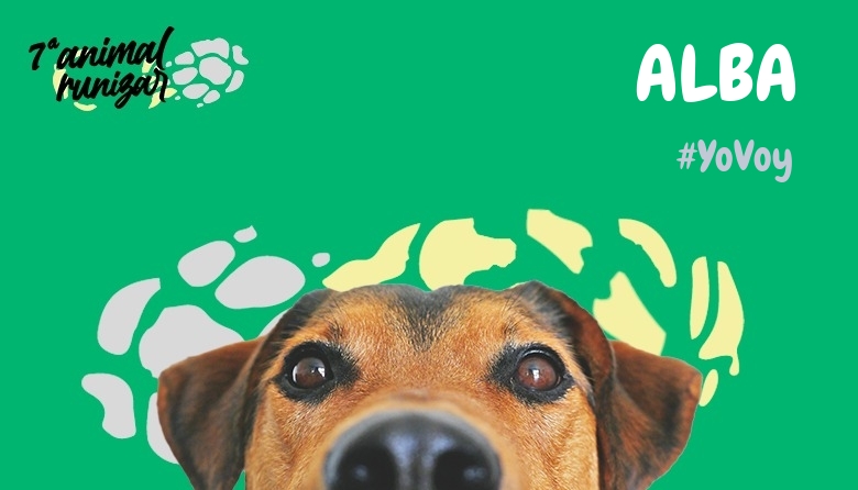 #ImGoing - ALBA (ANIMALRUNIZAR 2024)