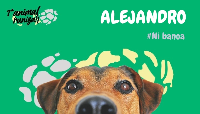 #JazGrem - ALEJANDRO (ANIMALRUNIZAR 2024)