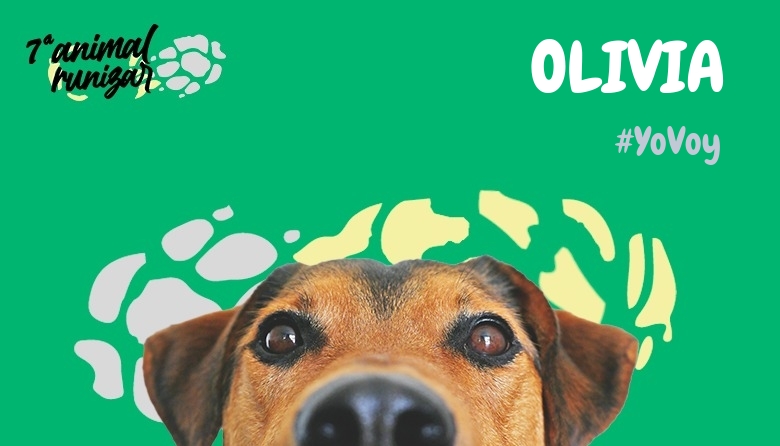 #YoVoy - OLIVIA (ANIMALRUNIZAR 2024)