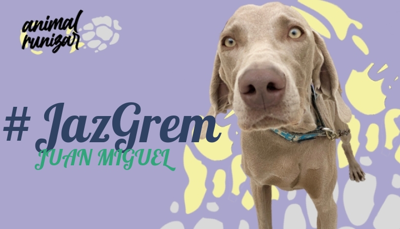 #ImGoing - JUAN MIGUEL (ANIMALRUNIZAR 2022)