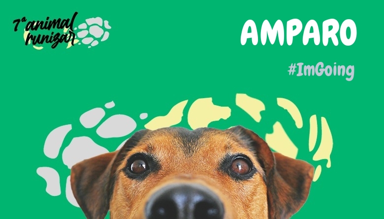 #YoVoy - AMPARO (ANIMALRUNIZAR 2024)