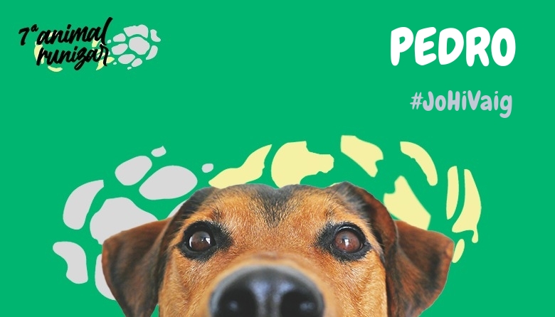 #YoVoy - PEDRO (ANIMALRUNIZAR 2024)