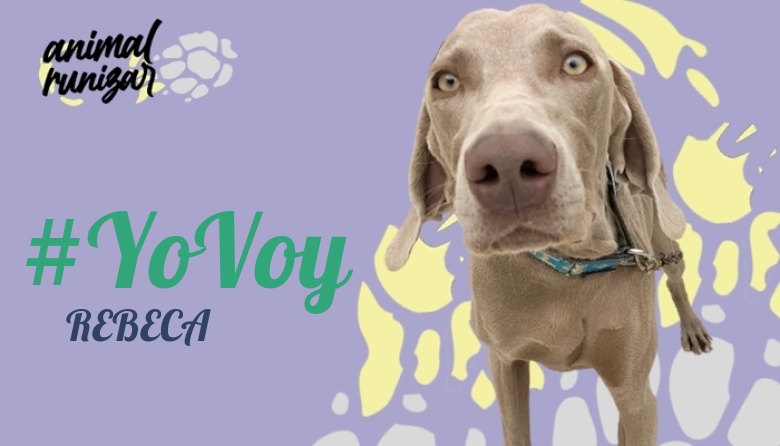 #JoHiVaig - REBECA (ANIMALRUNIZAR 2023)