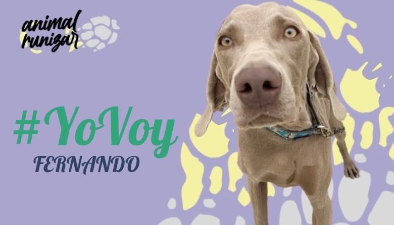 #JazGrem - FERNANDO (ANIMALRUNIZAR 2023)