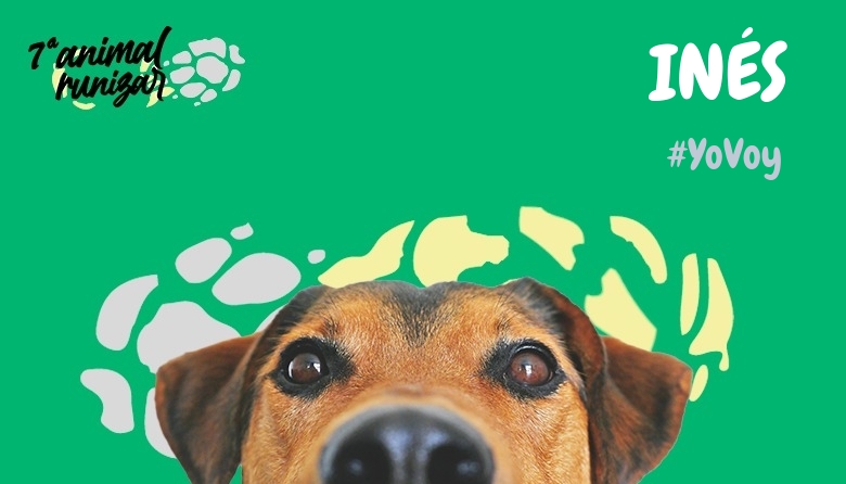 #JazGrem - INÉS (ANIMALRUNIZAR 2024)