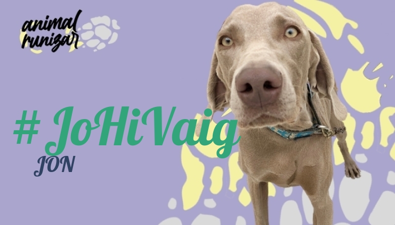 #JazGrem - JON (ANIMALRUNIZAR 2023)